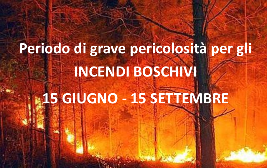 incendi boschivi