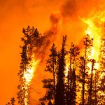 PageLines- fire_risk_1200x400.jpg