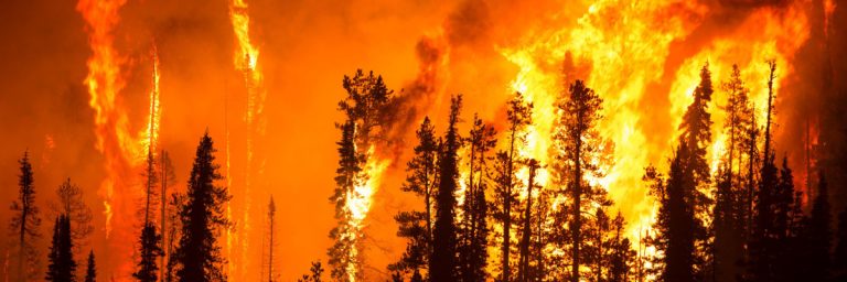 PageLines- fire_risk_1200x400.jpg