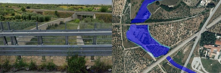 PageLines- bitetto.jpg